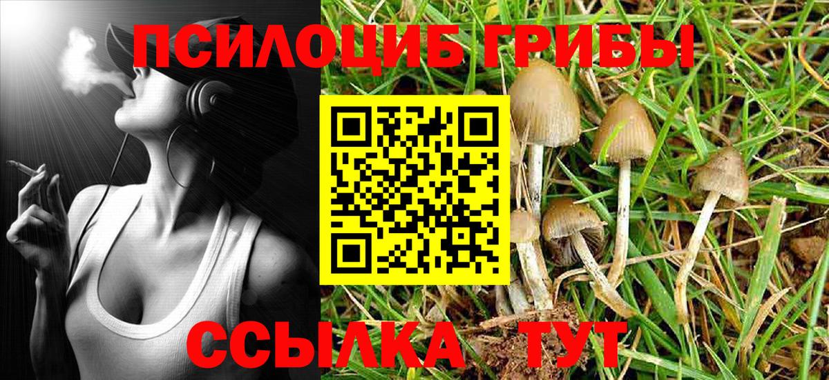 Псилоцибиновые грибы Psilocybine cubensis  Галлюциногенные грибы Cubensis  Железноводск  Вход с VPN 